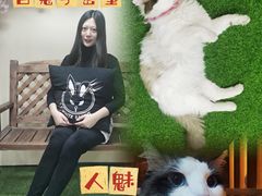 -白兔子密室(长寿路店)