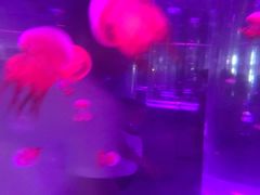 -苏州海洋馆