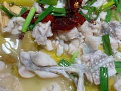 -黄鹤天厨·泡椒田鸡创始者(莲花店)