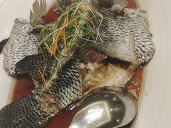 -同庆楼(奥体中心店)