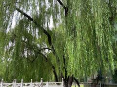 -莲湖公园