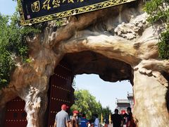 -大槐树寻根祭祖园