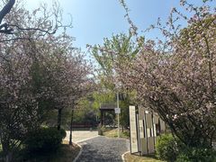 -张家港凤凰山景区河阳山歌馆