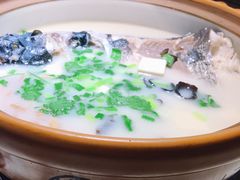 姜君千岛湖鱼头-姜君·千岛湖鱼头馆(浦东大道店)