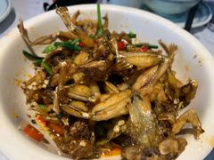 -壹盏灯(惠农店)