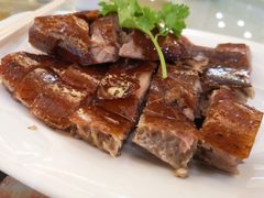 -椿记烧鹅(叠彩店)