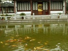 android_upload_pic-焦山风景区