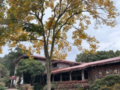 -中国茶叶博物馆(双峰馆区)