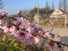 -小六农家乐(崇明西沙湿地店)