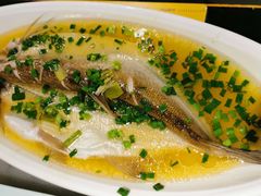 清蒸白鱼-京城小江南·北京烤鸭·江南土菜·白鱼(中关村店)