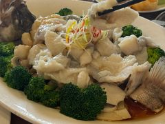 -烤肉宛饭庄(北新桥店)