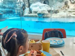 -帝企鹅自助餐厅•儿童岛•真企鹅(长隆企鹅酒店)