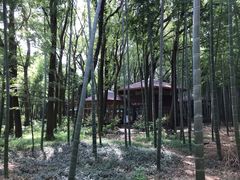 -同里国家湿地公园