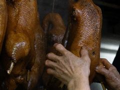 -春梅里卤鹅馆·47年老字号(中山路店)