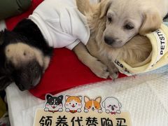 -北京华联购物中心(天通苑店)