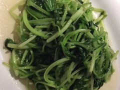 清炒鸡毛菜-苏浙汇(朝外店)