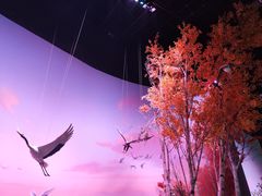 -中国湿地博物馆