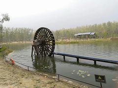 -合肥滨湖国家森林公园