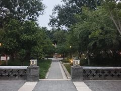 -西海子公园