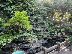 -水濂山森林公园