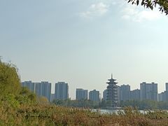 -洋湖国家湿地公园