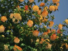 -长沙火车站(地铁站)