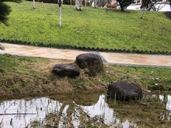 -余姚阳明温泉山庄