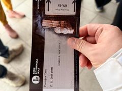 -波斯托伊纳溶洞