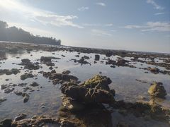 -普吉岛凯悦酒店