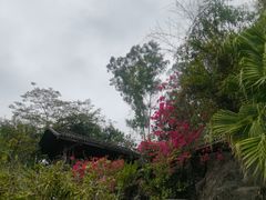 -深圳国际园林花卉博览园