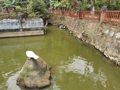 -香山小厨(南联路店)