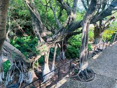 -胡里山炮台