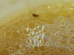 -牛魔王汕头牛肉火锅(笋岗店)