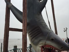-刘家湾赶海园