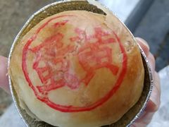 咸蛋黄鲜肉月饼-泰康食品有限公司食品厂