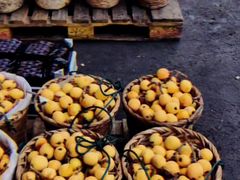 -西郊国际农产品交易中心