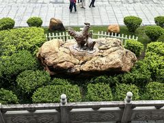 -飞来湖湿地公园