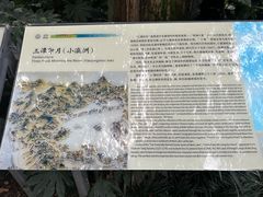 -西湖游船