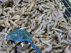 -聚盛源蒸汽海鲜火锅烤肉自助(巨川金海岸购物广场店)