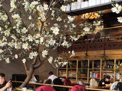 大堂-山有花啡餐厅(常营总店)