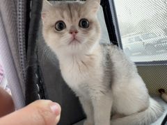 -芭比堂动物医院·CT·微创中心(新顺分院)