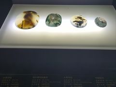 -湖南省地质博物馆