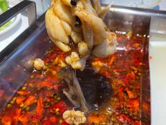 -渝蛙先生领鲜美蛙老火锅
