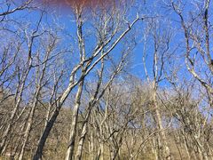 -罗田薄刀峰风景区