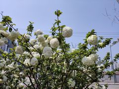 -大龙山(地铁站)