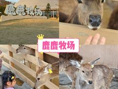 -盈香心动乐园