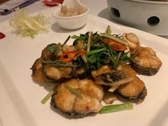 金不换煎焗白鳝-博多新记·粤菜(复兴店)