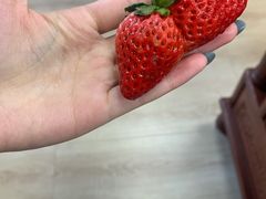 -意满花千醉(金茂览秀城店)