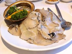 -食为先(Shark Fin)