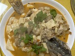 -煲来饱去冷水鱼